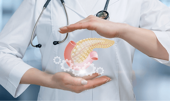 Endokrinoloji klinik branş görseli