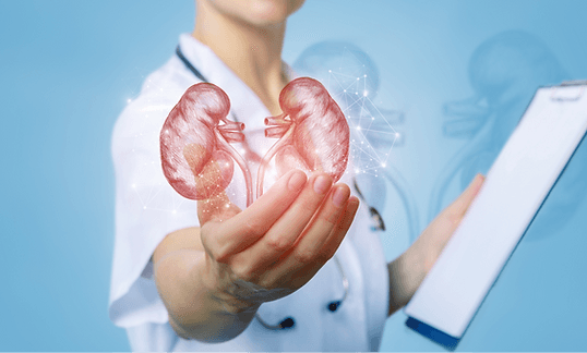 Nefroloji klinik branş görseli