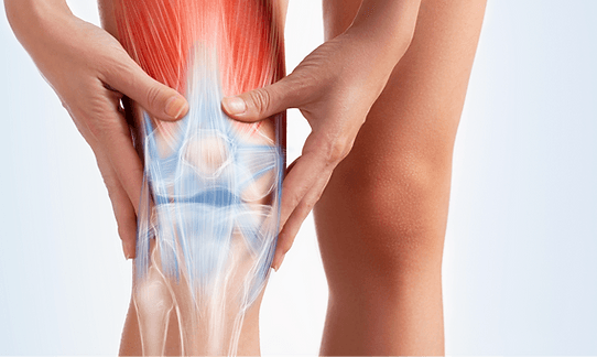 Romatoloji klinik branş görseli